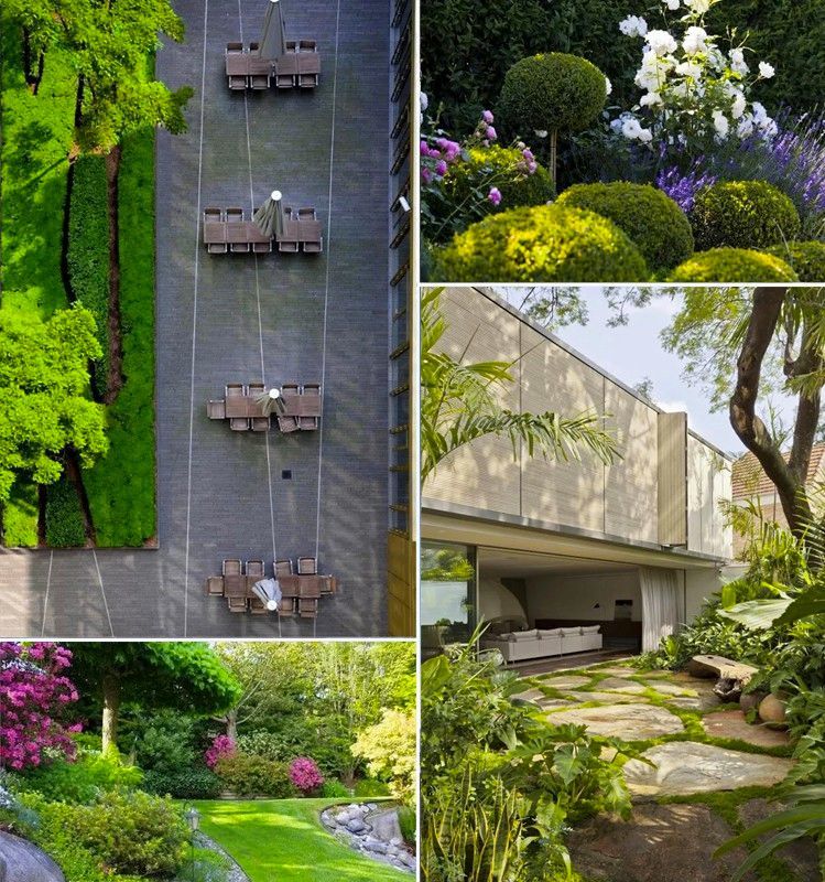 庭院造景植物设计指南 腾讯新闻