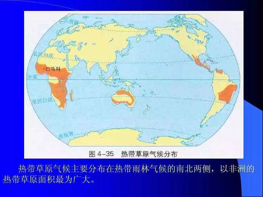 南美洲的亚马逊平原,非洲的刚果盆地,马来半岛和马来群岛