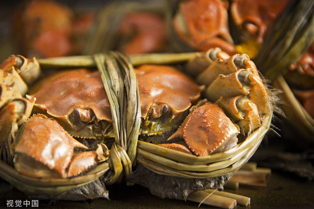 螃蟹钳子威力排行_男子抱陆地上最大螃蟹合影,殊不知其钳子威力能夹碎椰子壳