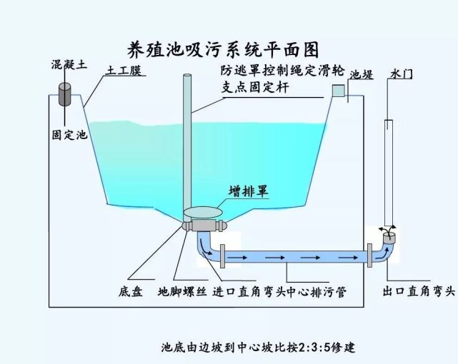 高位池養蝦設計圖!|池塘|對蝦|增氧機|排水閘|蝦塘