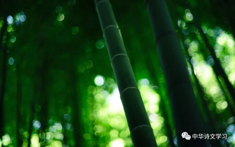 古诗词|古诗词中的夏日时光， 心静自然凉意生