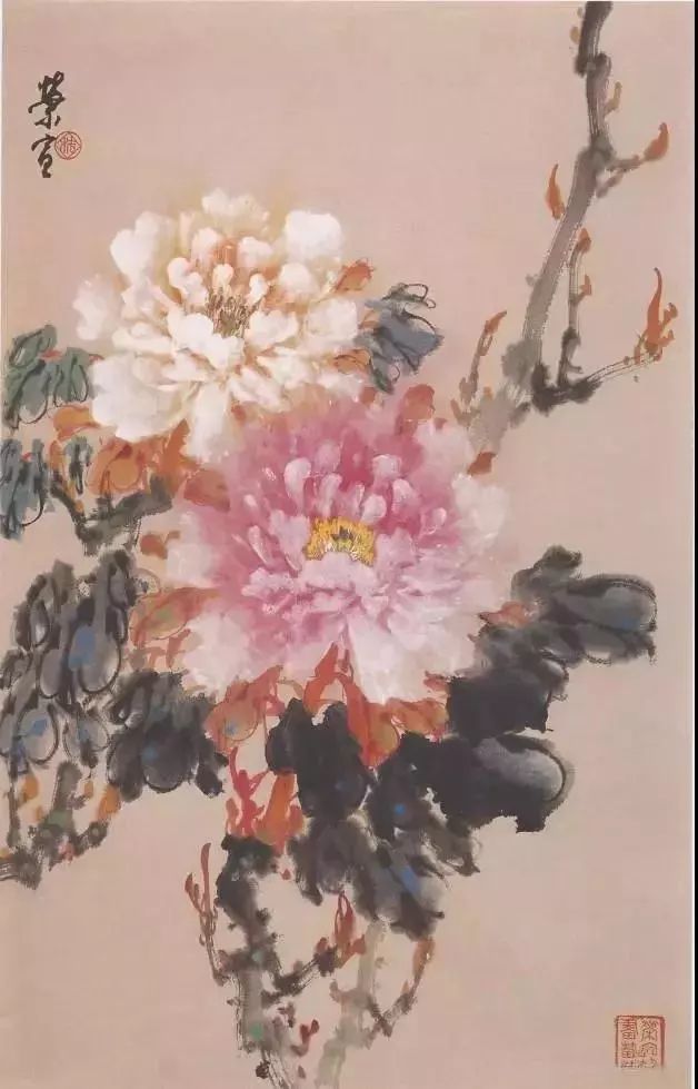 牡丹|彩墨牡丹这样画