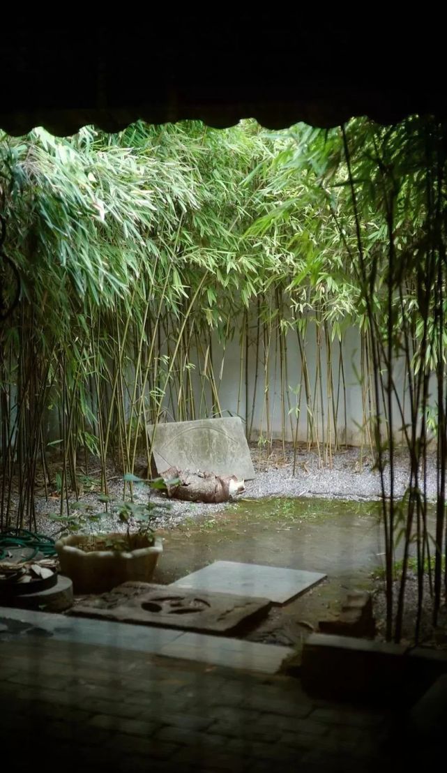 宁可食无肉不可居无竹文人为何如此爱竹