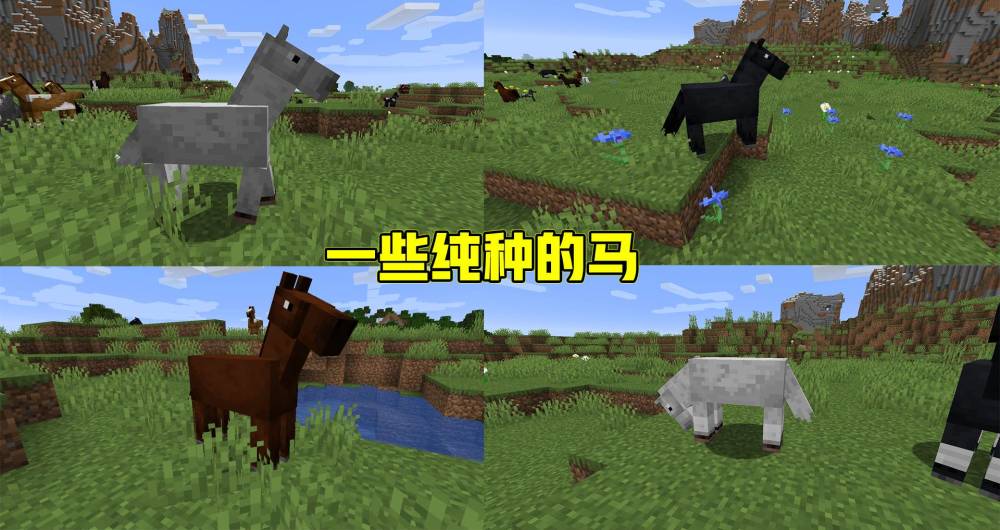 最高のマインクラフト: これまでで最高のMinecraft马吃什么