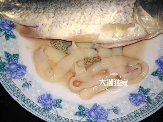 大妈买回一条鱼 鱼肚竟塞满 白色面条 夏天了 吃它们要注意 腾讯网