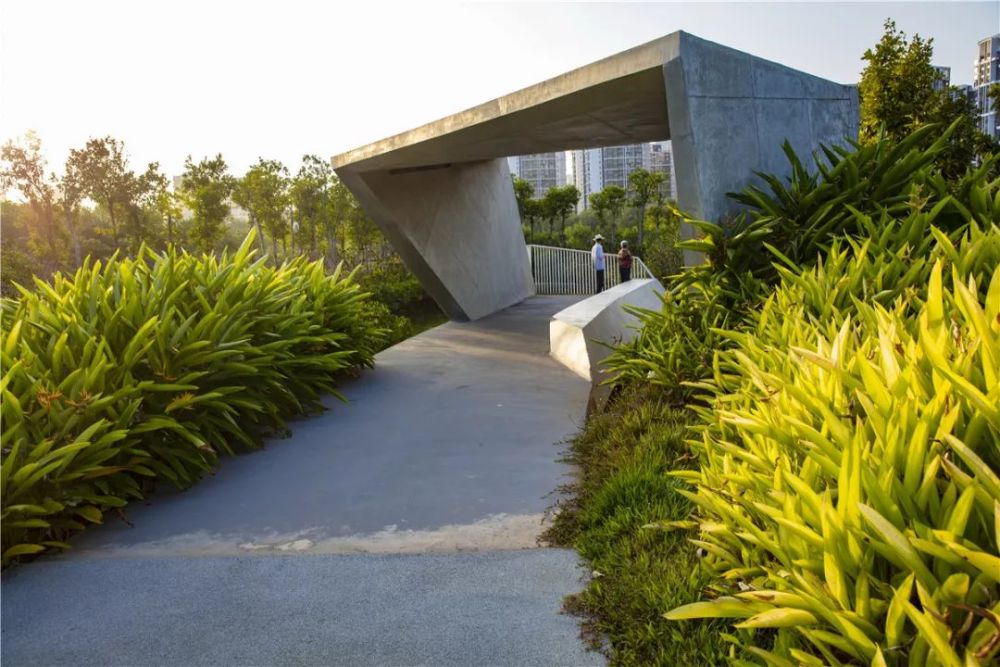 2020asla公布一起来看中国获奖作品