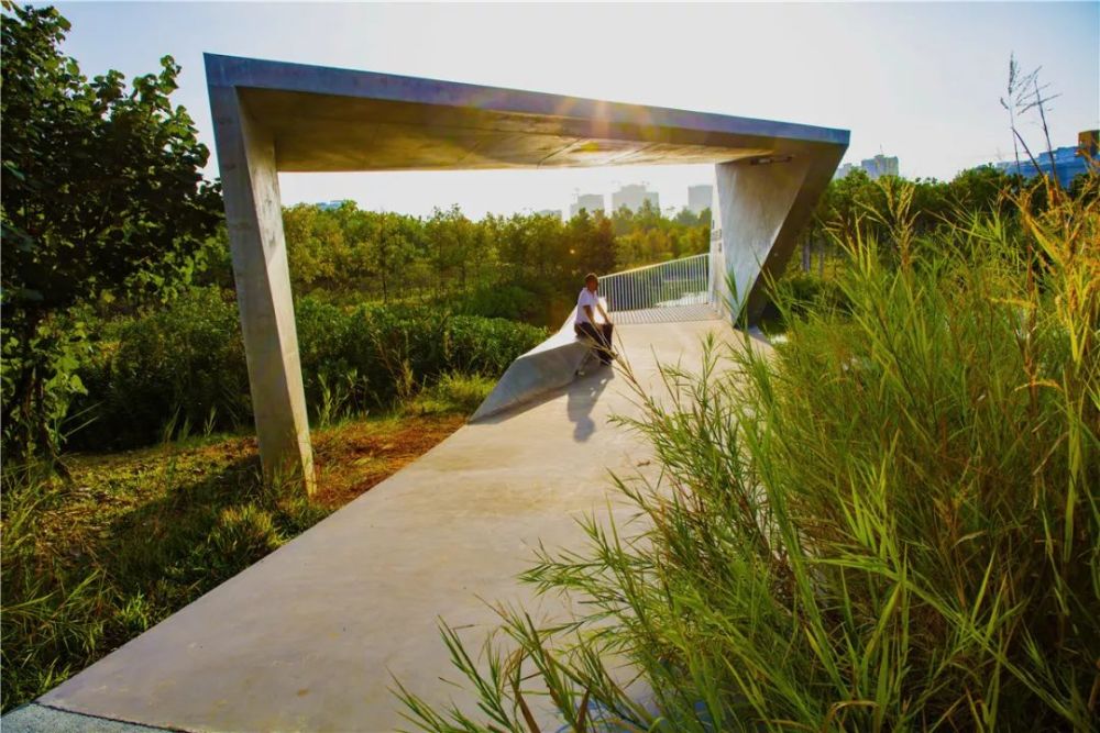 2020asla公布一起来看中国获奖作品