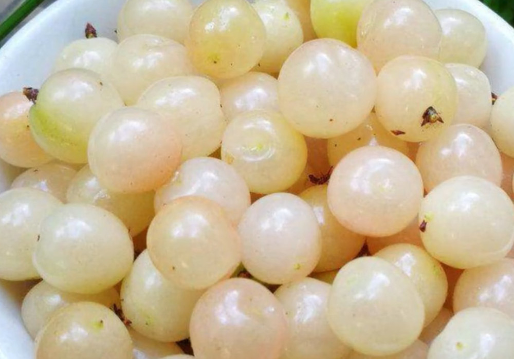 山上一种罕见水果,被称为"白珍珠"如今城里人有钱都难买到