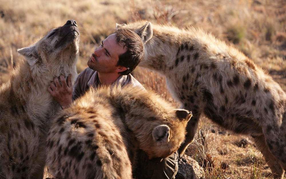 同样是宠物狗,非洲人却这样养,看完感觉差别真大!