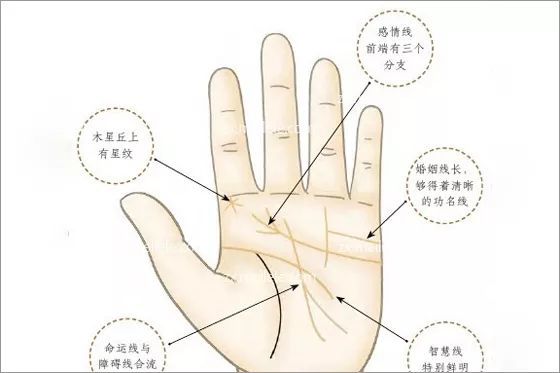 1,财运纹在无名指下方直冲无名指的竖线,为财运线.
