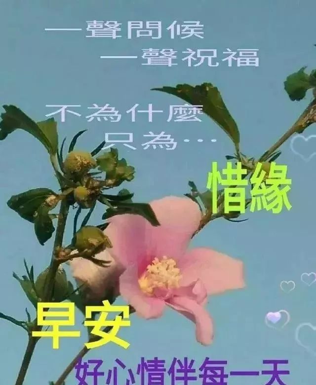 6月26日最美清晨早安暧心祝福语录早上好温馨问候语大全