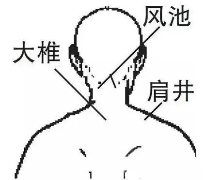 冬病夏治的三伏灸到底好在哪?(附三伏灸时间表)