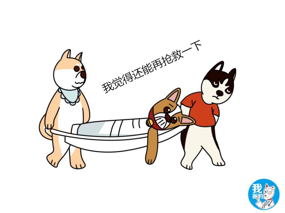 辟谣:狗狗化身弱不禁风的林黛玉,是在东施效颦?可要留心贫血症