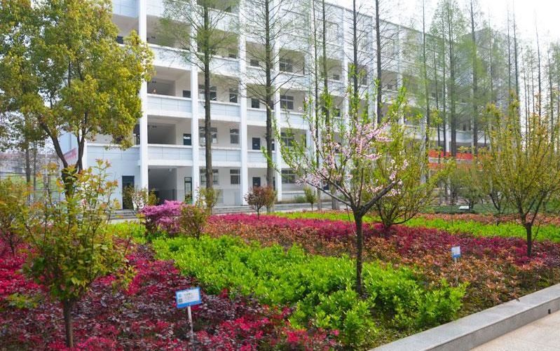 潜江疫情的第33天,我从未如此想开学!