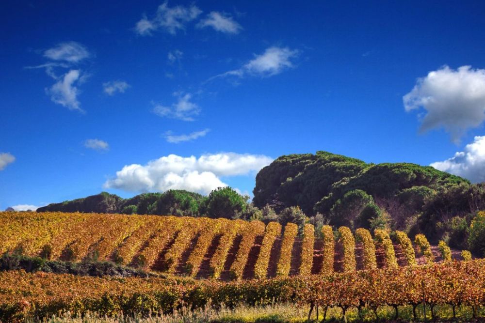 广州interwine法国尼姆产区大师班 ——品味泉水精灵的独特风土