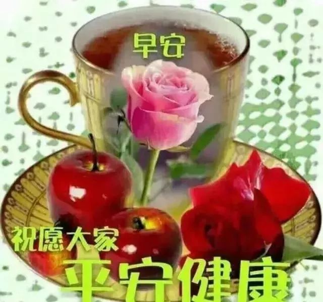 最新早上好短信祝福可爱的祝福问候唯美清新图片 漂亮早上好动态问候