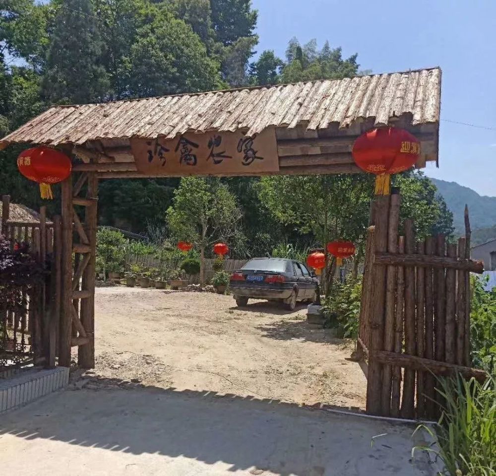 1个蛋卖200?黄冈1小伙放弃万元高薪职业回乡养鸵鸟,现年纯利润20多万