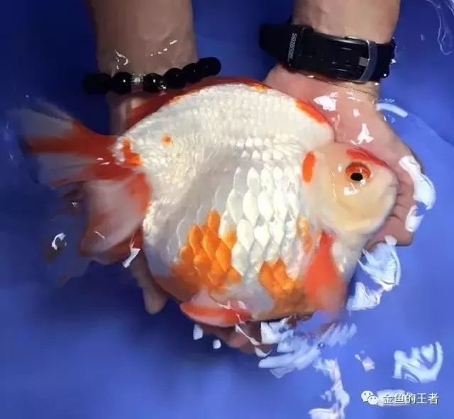 腾讯内容开放平台