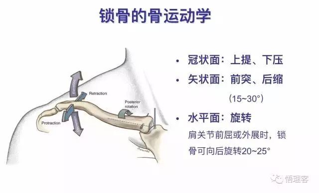 胸锁关节松动术——短视频讲解