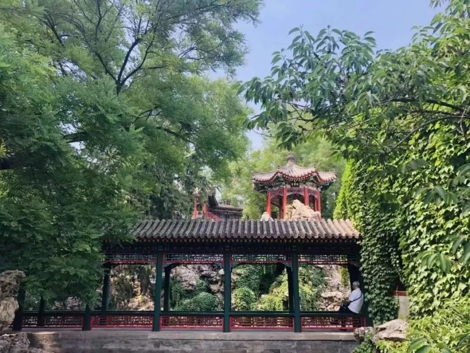 北海公园|大北京│夏天竟然就有“漫天红枫”，就藏在市中这绝美园子里