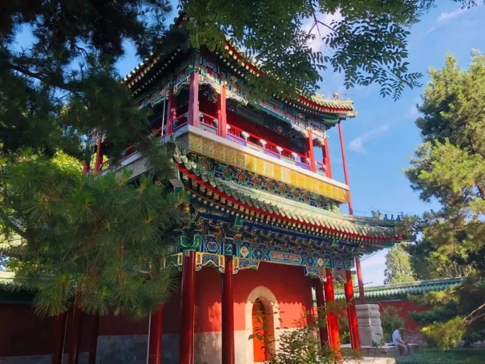 北海公园|大北京│夏天竟然就有“漫天红枫”，就藏在市中这绝美园子里