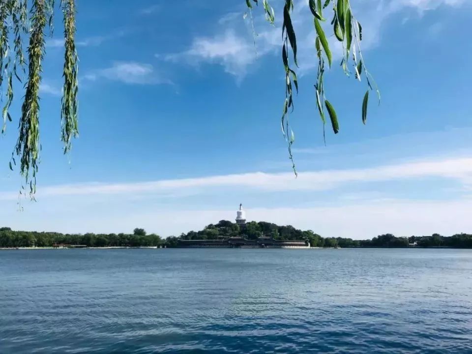 北海公园|大北京│夏天竟然就有“漫天红枫”，就藏在市中这绝美园子里