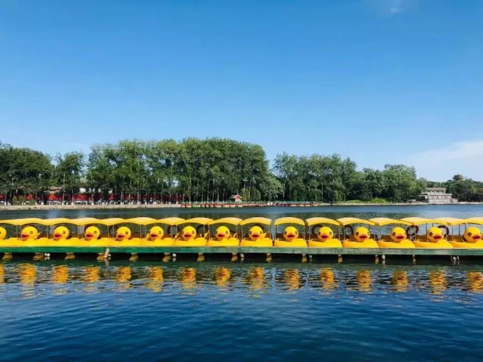 北海公园|大北京│夏天竟然就有“漫天红枫”，就藏在市中这绝美园子里