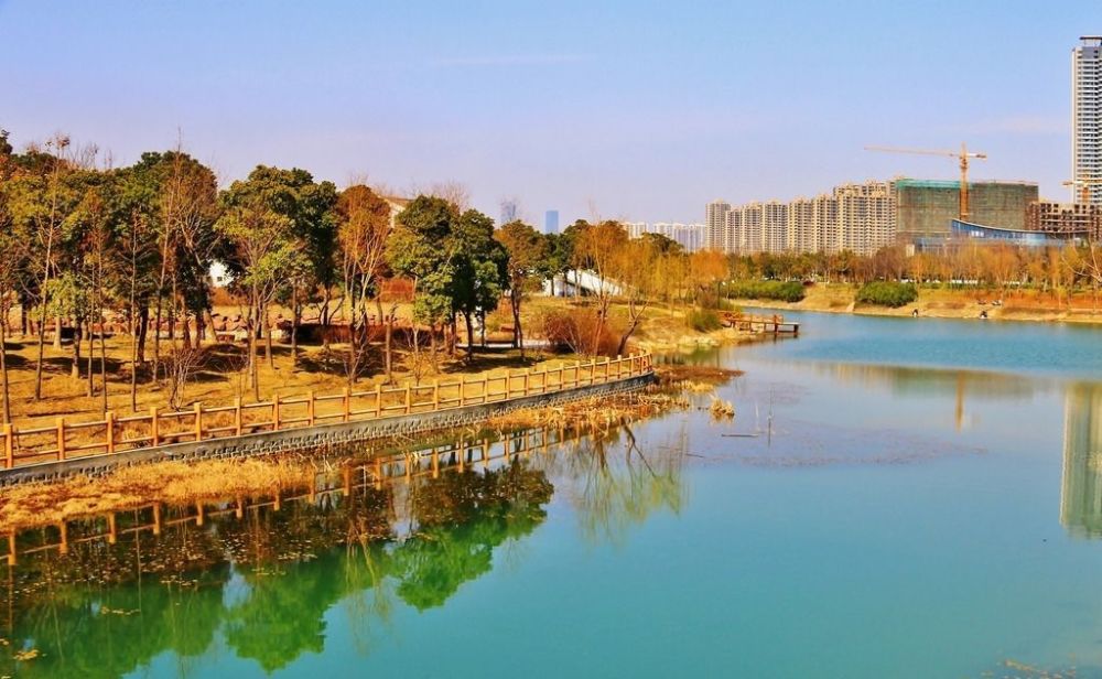 江苏高考排名86000排名8_2020全国高考难易程度排名,江苏排名第二档,第一档