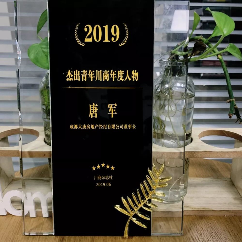 唐军:2019杰出青年川商年度人物