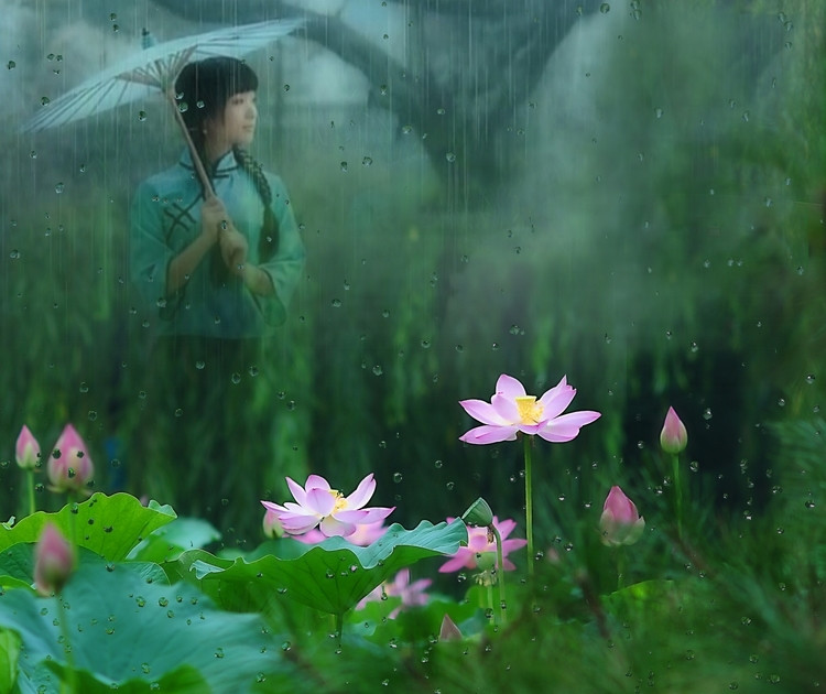 半夏时节 雨落倾城