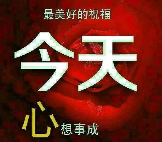 9,又是美好的一天,祝福送给你:调节好心情,烦恼全丢弃;温度直攀高