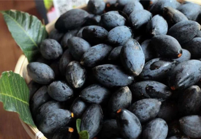 世界上7种黑色的水果,你若是全吃过,请允许我叫你一声"大神"