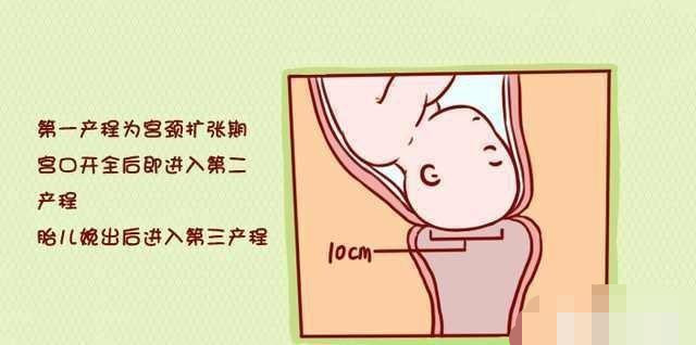 宫颈口硬不成熟是不是很难顺产妇科专家给出答案说出来别不信