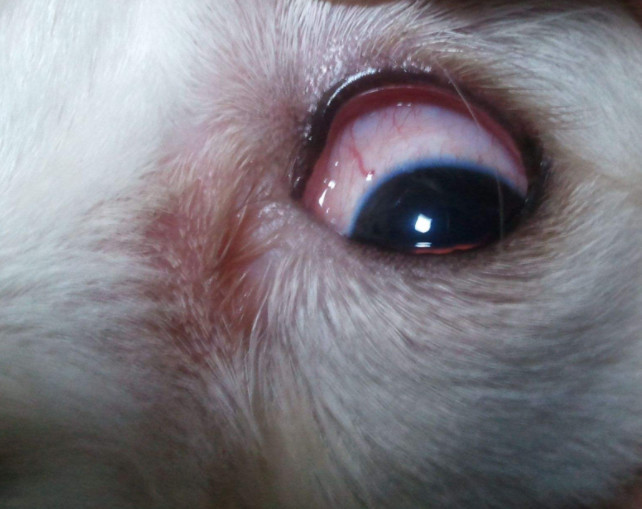 测你看人的眼光准不准?