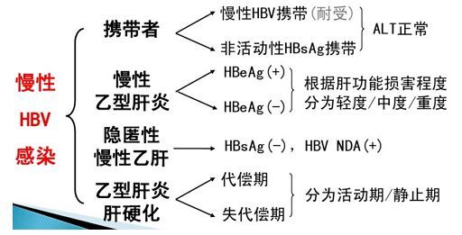 抗病毒黄金时期是什么,年期时期肝损害较轻,乙