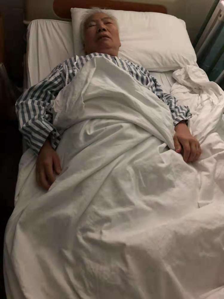 广东一金毛因咬死贵宾犬被打死续：主人父母血压升高住进医院