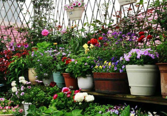 腾讯内容开放平台