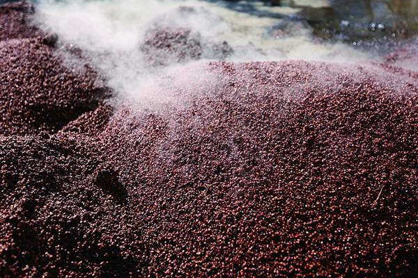 酒厂不用的酒糟都去哪里了用处之多却被酒友说丢掉