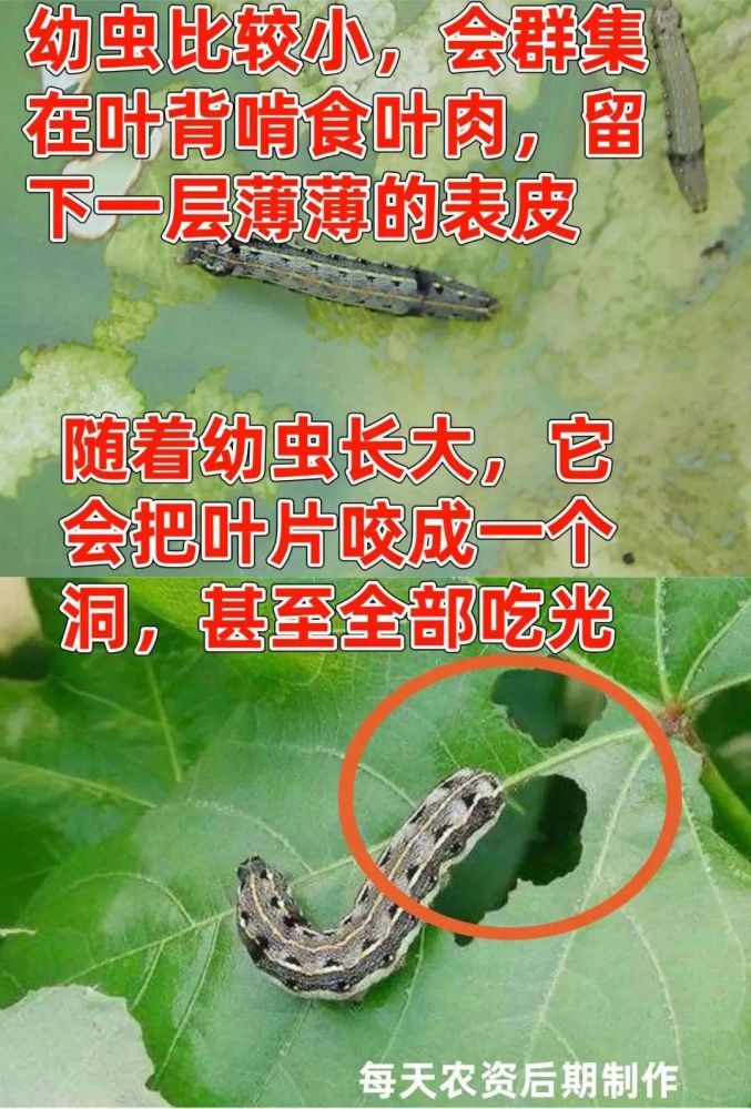 消之宝