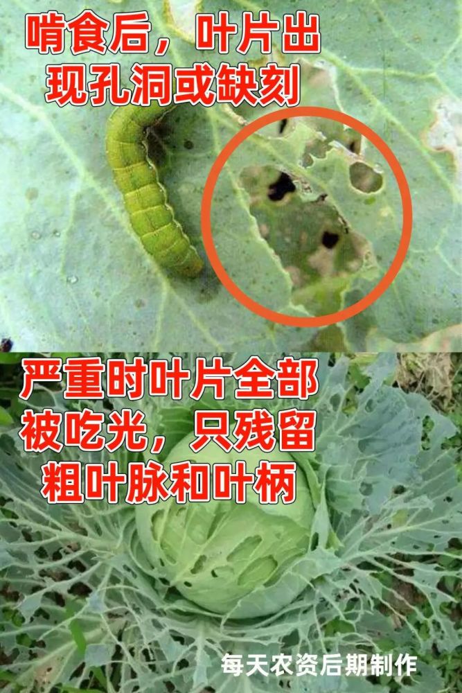 消之宝