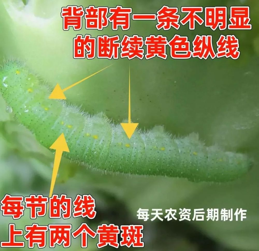 消之宝