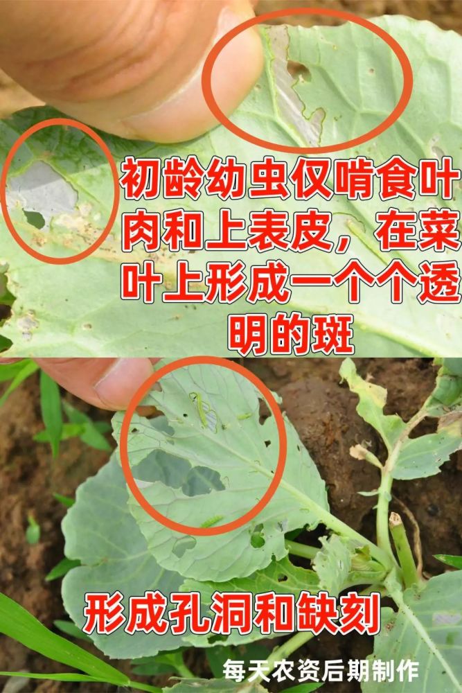 消之宝