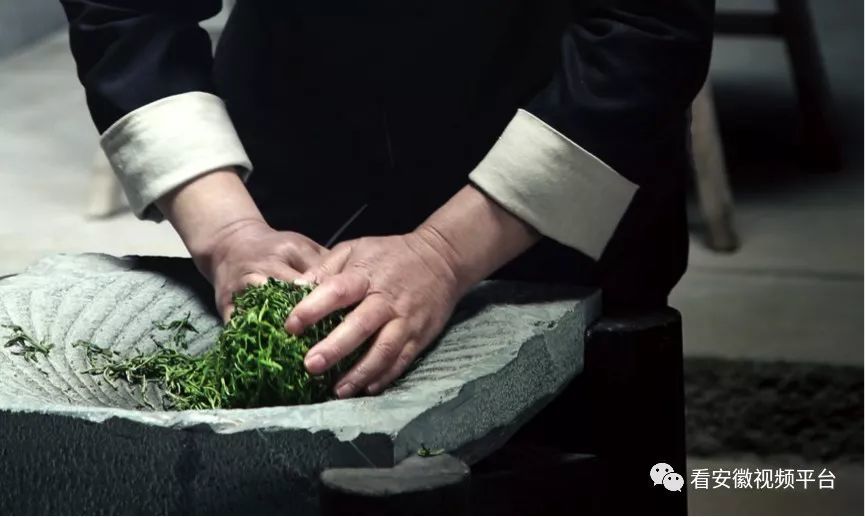 黄大茶,轻嗅山风品雨露