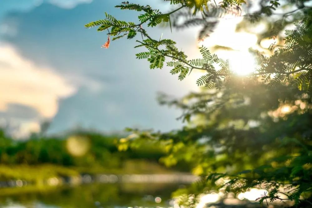 席勒說時間的步伐有三種: 未來姍姍來遲,現在像箭一樣飛逝,過去永遠靜