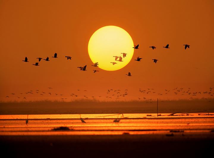 宋词|写洞庭湖最精彩的宋词，当属“满载一船秋色，平铺十里湖光”