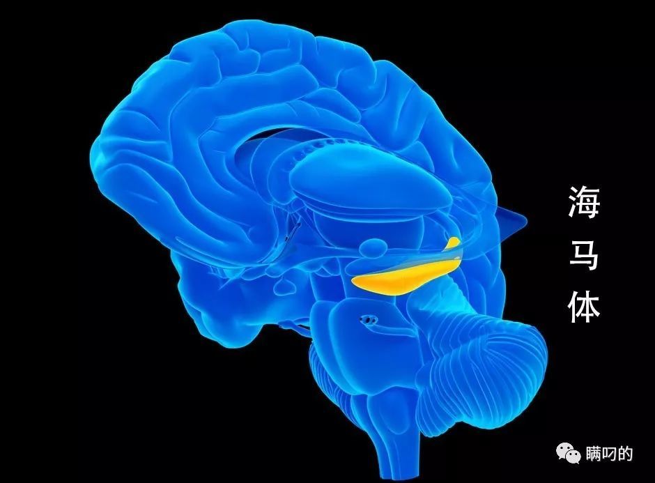 大脑|太突然！浙江重大宣布！真的不敢相信！