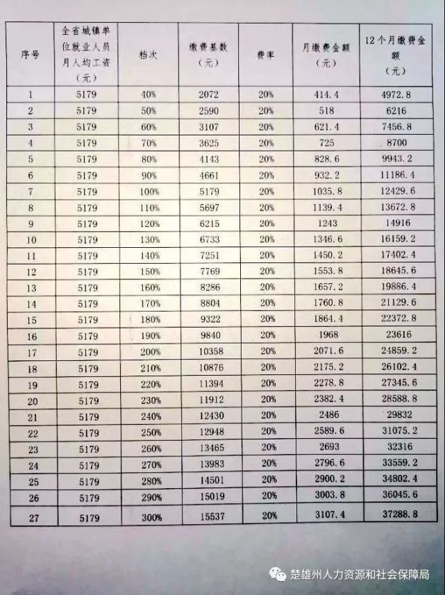 楚雄人口基数_楚雄彝人古镇图片(2)