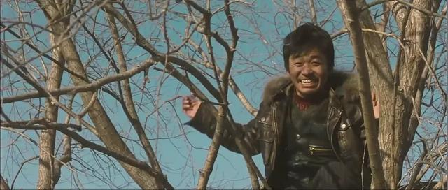 hello树先生这部王宝强的巅峰之作里有我们每个人的影子