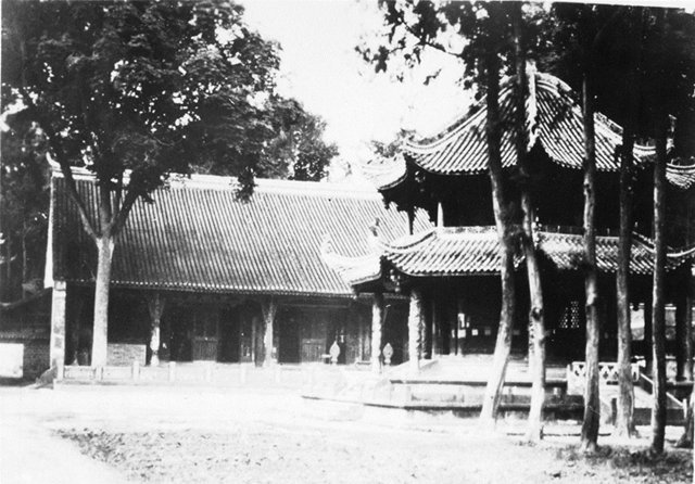 登錄查看大圖