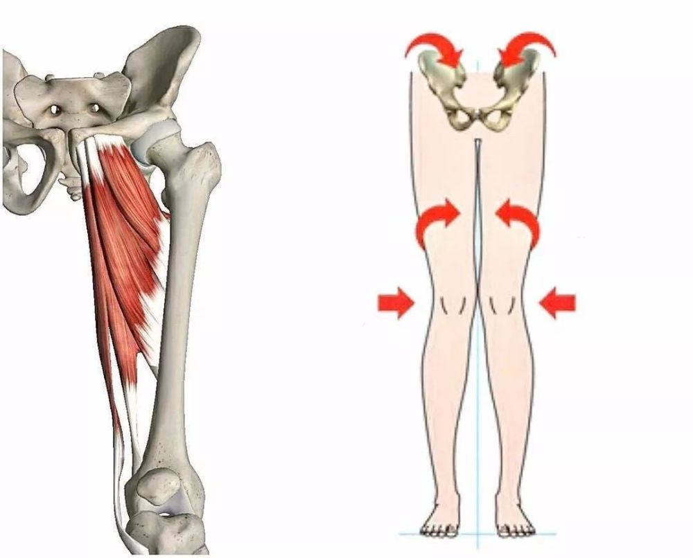 在现实生活中,许多有很多腰椎,脊柱,髋关节,膝关节问题的人,都直接或